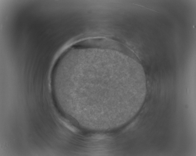 X0000081310246200702082117