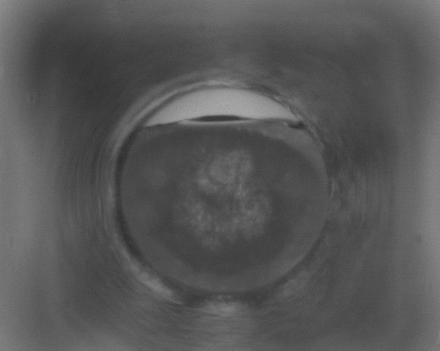 X0000081310247200702082117