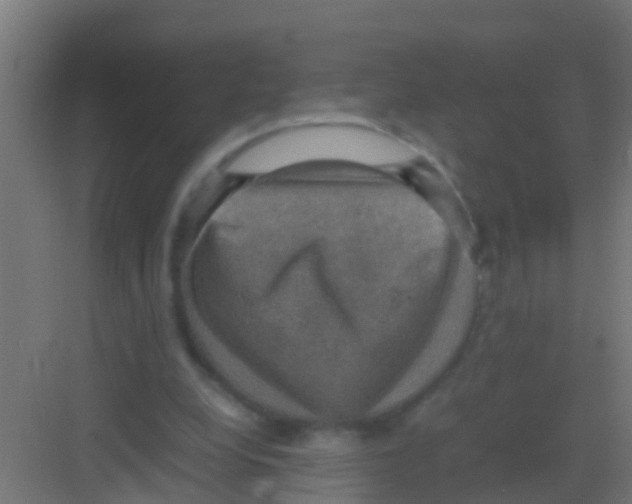 X0000081310248200702082117