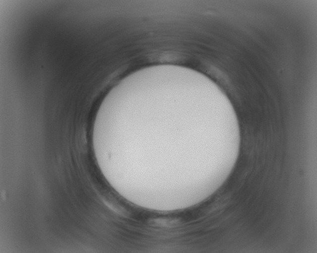 X0000081310251200702082118