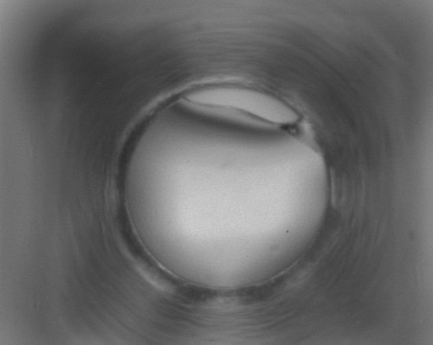 X0000081310252200702082118