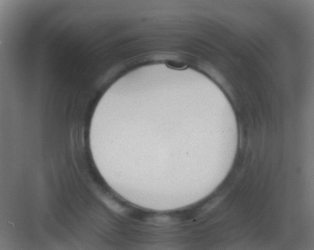 X0000081310253200702082118