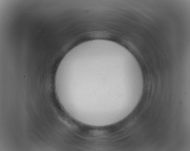 X0000081310255200702082118