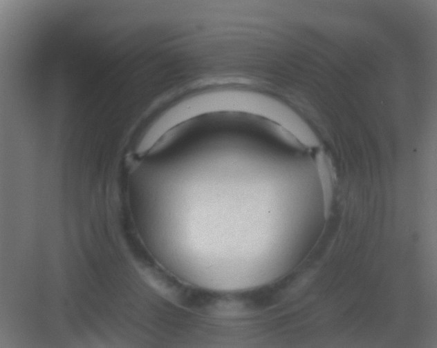 X0000081310256200702082118