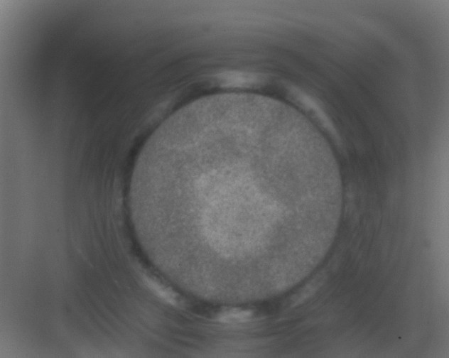 X0000081310257200702082118