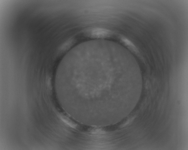 X0000081310258200702082118