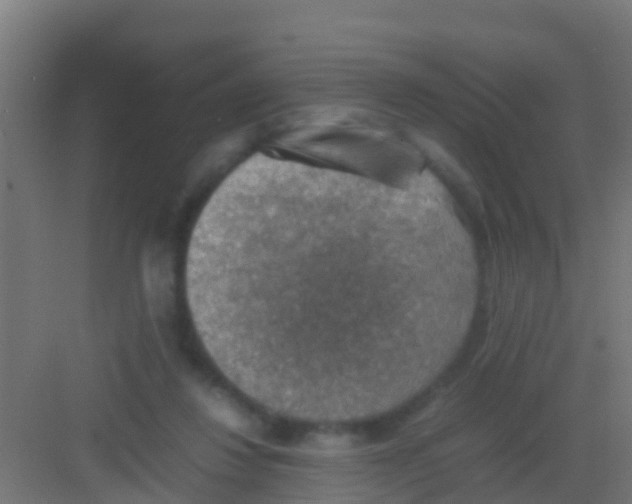 X0000081310260200702082118