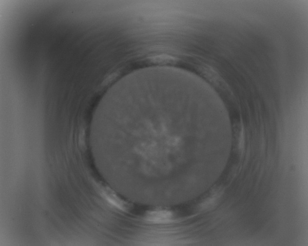 X0000081310266200702082118