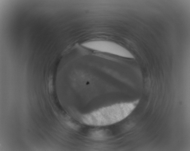 X0000081310267200702082118