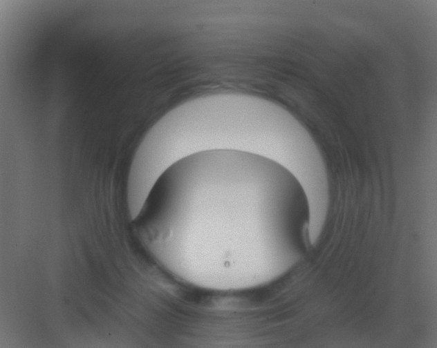 X0000081310268200702082118