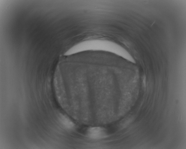 X0000081310269200702082118