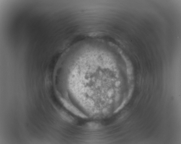 X0000081310272200702082118