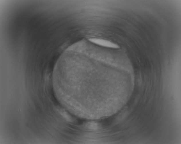 X0000081310276200702082118