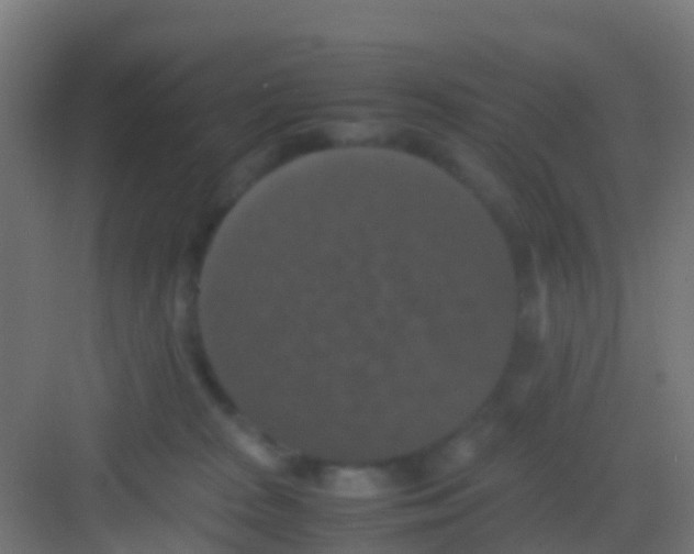 X0000081310277200702082118