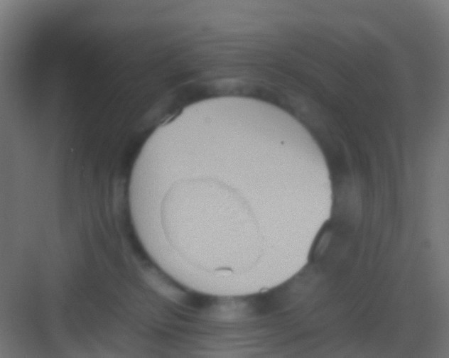 X0000081310278200702082118