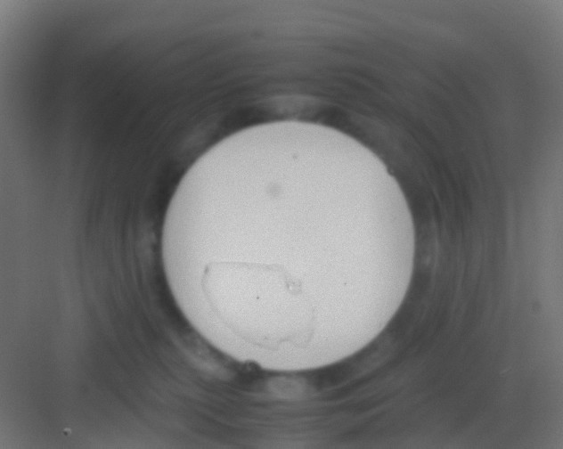 X0000081310279200702082118