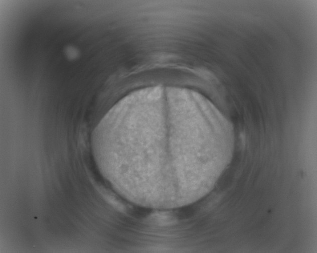 X0000081310280200702082118