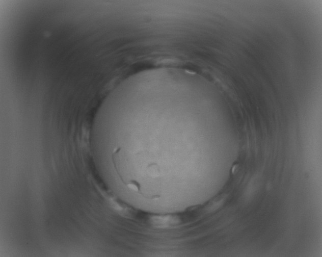 X0000081310281200702082118