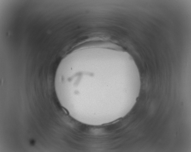 X0000081310283200702082118