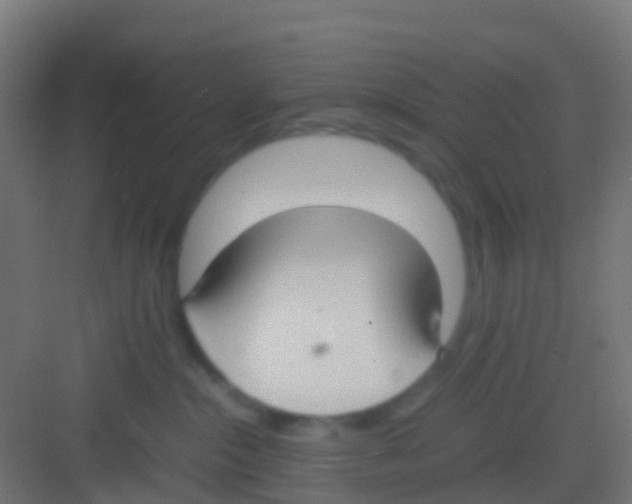 X0000081310284200702082118