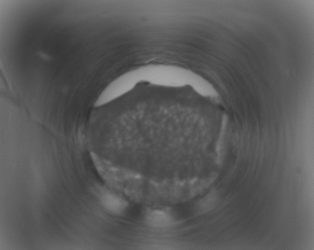 X0000081310285200702082118