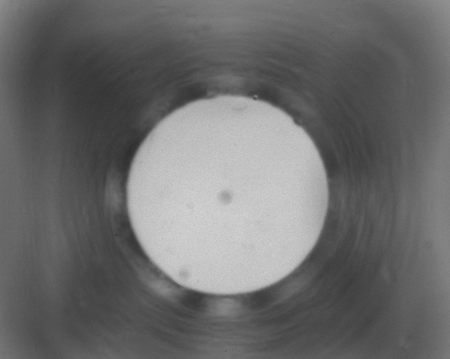 X0000081310287200702082118