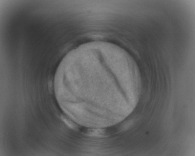 X0000081310288200702082118