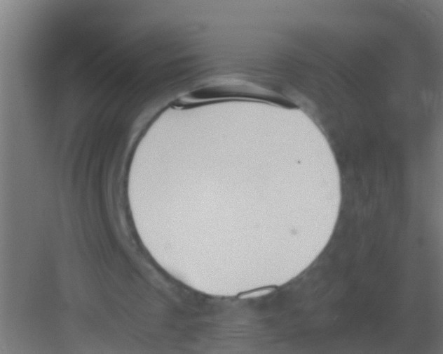 X0000081310289200702082117