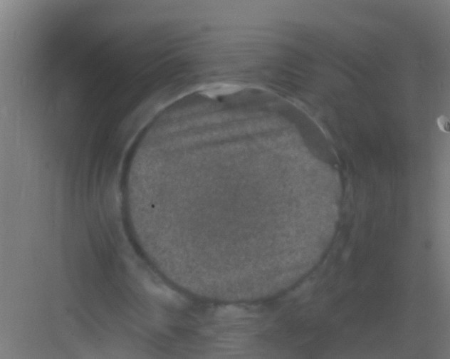 X0000081310290200702082117