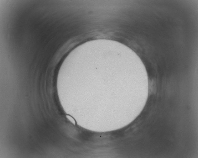 X0000081310291200702082117