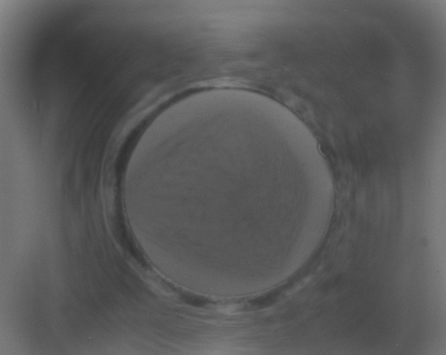 X0000081310295200702082117