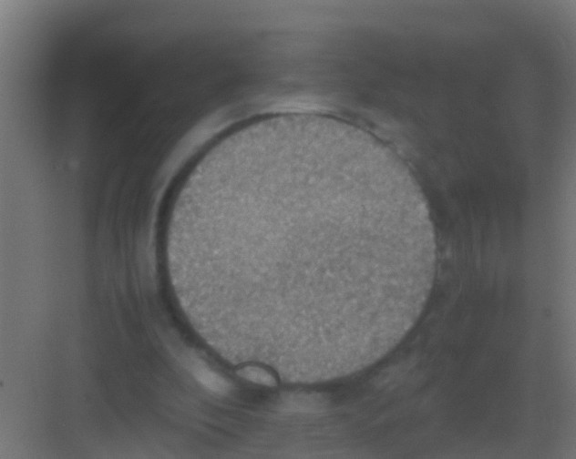 X0000081310296200702082117