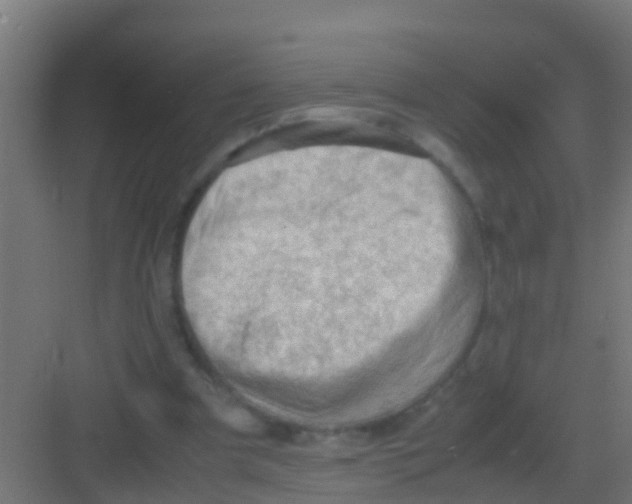 X0000081310297200702082117