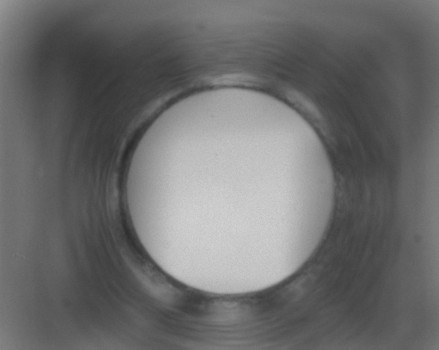 X0000081310298200702082117