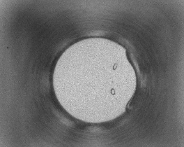 X0000081310300200702082117