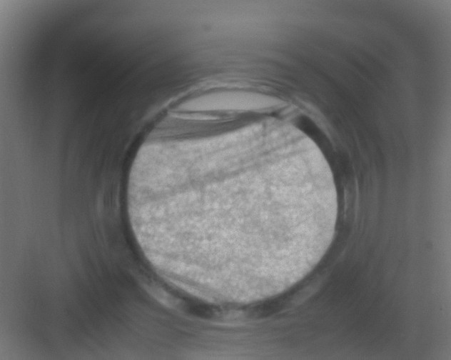 X0000081310301200702082117