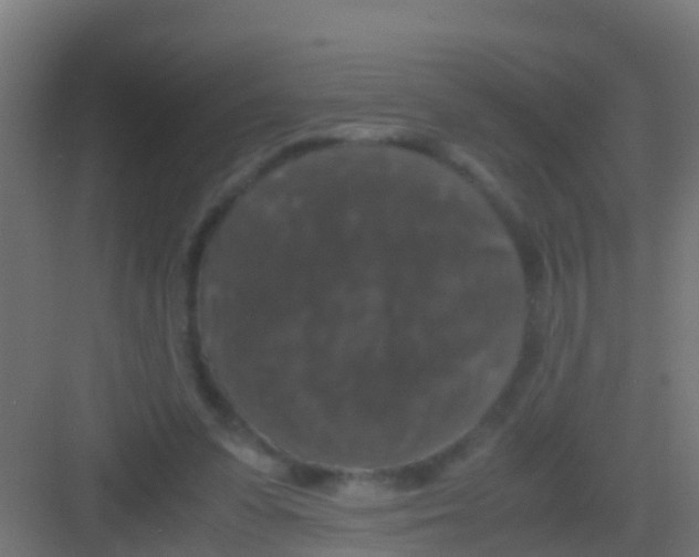 X0000081310303200702082117