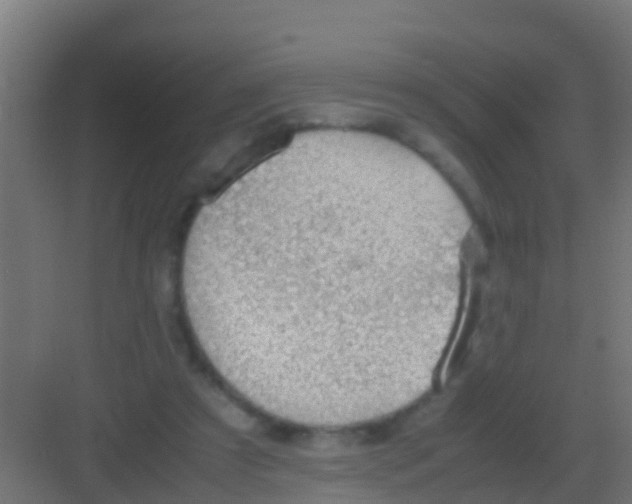 X0000081310305200702082117