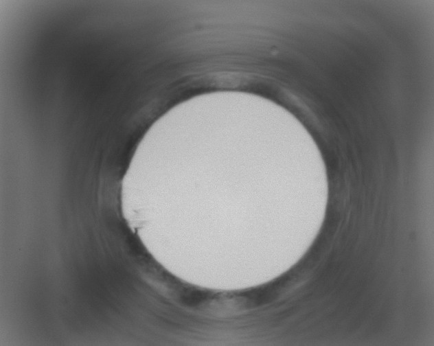 X0000081310307200702082117