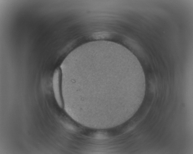 X0000081310308200702082117