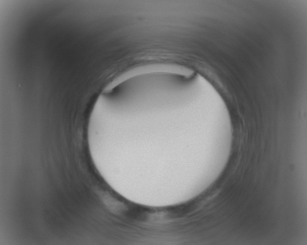 X0000081310309200702082117