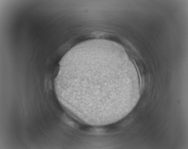 X0000081310313200702082117