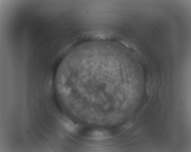 X0000081310314200702082117