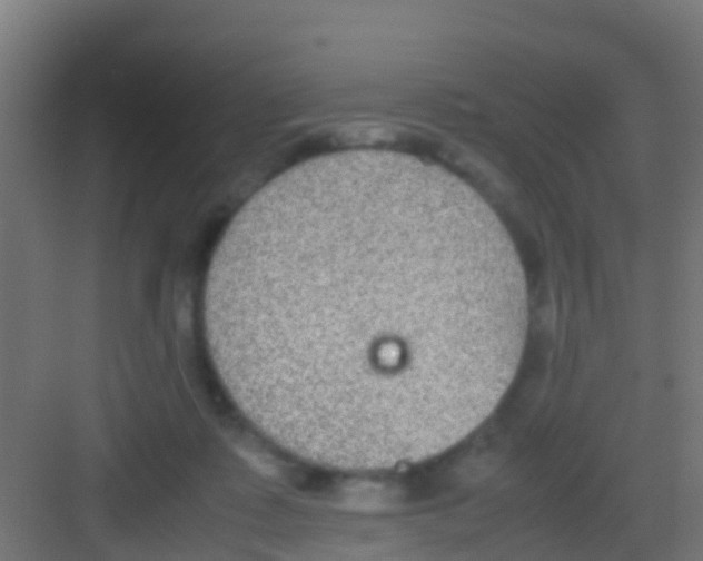 X0000081310315200702082117