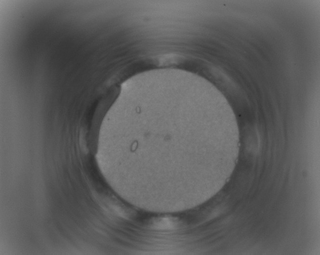 X0000081310316200702082117