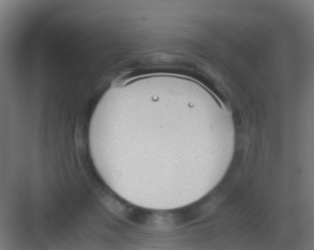 X0000081310317200702082117