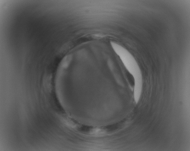 X0000081310319200702082117