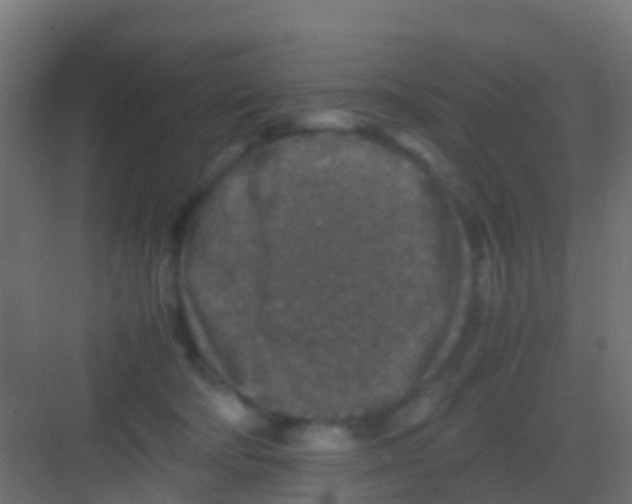 X0000081310322200702082117