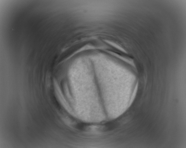 X0000081310323200702082117