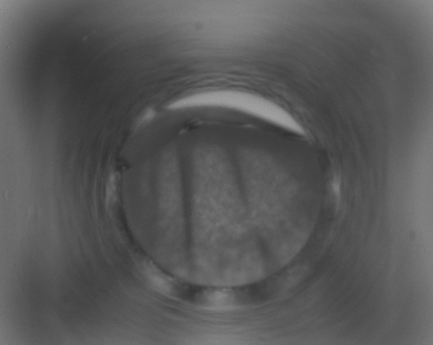 X0000081310325200702082117